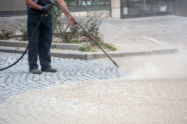 Best Sidewalk and Walkway Cleaning  in Viola, NY